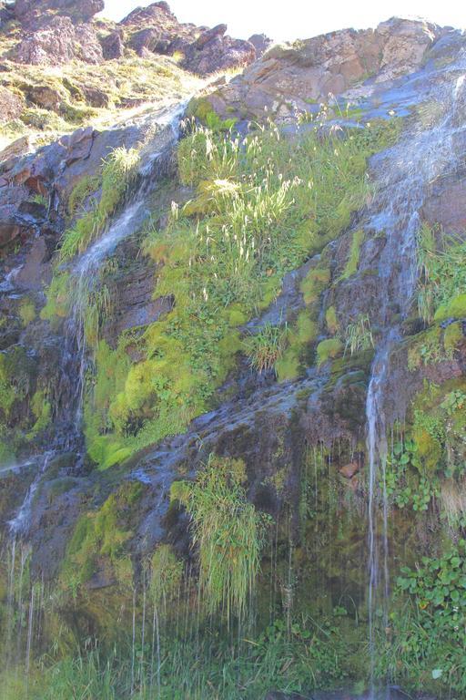 Tongariro Adventures Bed & Breakfast Kuratau ภายนอก รูปภาพ